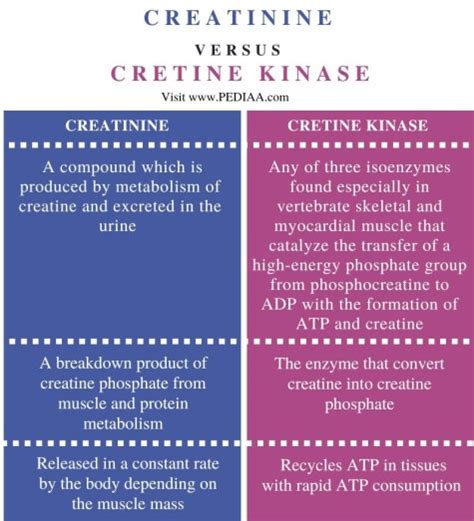 What is the Difference Between Creatinine and Creatine Kinase - Pediaa.Com