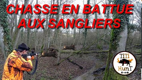 Tir Sur Sangliers Chasse Grand Gibier En Battue Grand Est Youtube