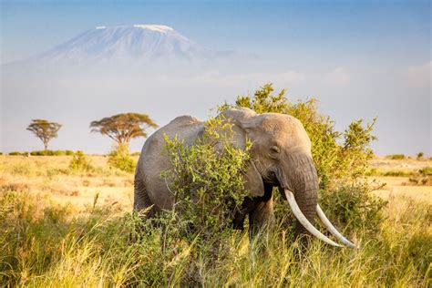 The Best Time To Visit Tanzania