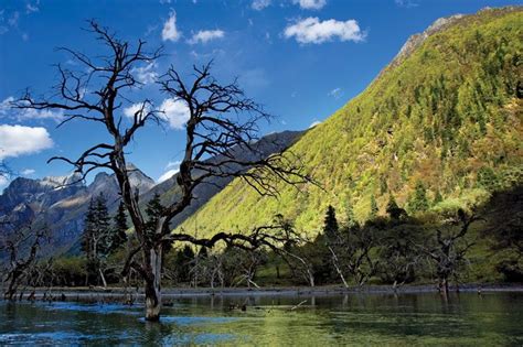 Sichuan | History, Province, Population, Climate, Cuisine, & Facts