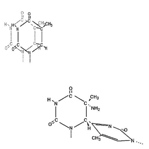 Pyrimidine dimers. The cyclobutane pyrimidine dimer (top) and the... | Download Scientific Diagram