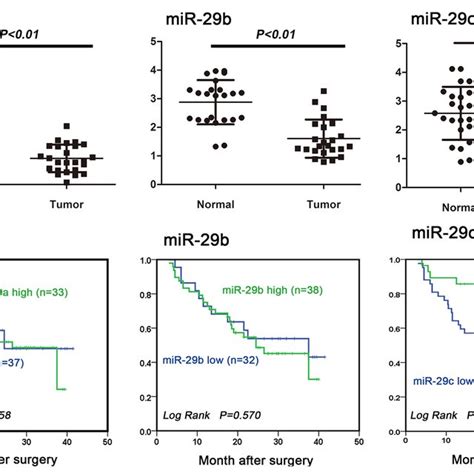 MiR 29c Is An Independent Prognostic Factor For Glioma Patient