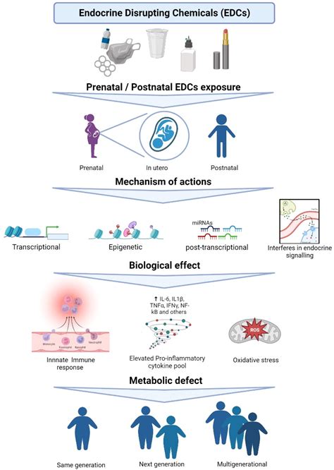 Metabolites Free Full Text Role Of Microrna In Endocrine Disruptor