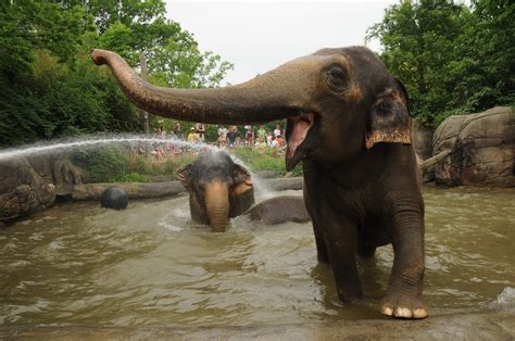 Behind the Scenes Experiences - The Cincinnati Zoo & Botanical Garden ...