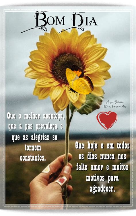 135 Imagens De Bom Dia Lindas Mensagens Para Whatsapp 354