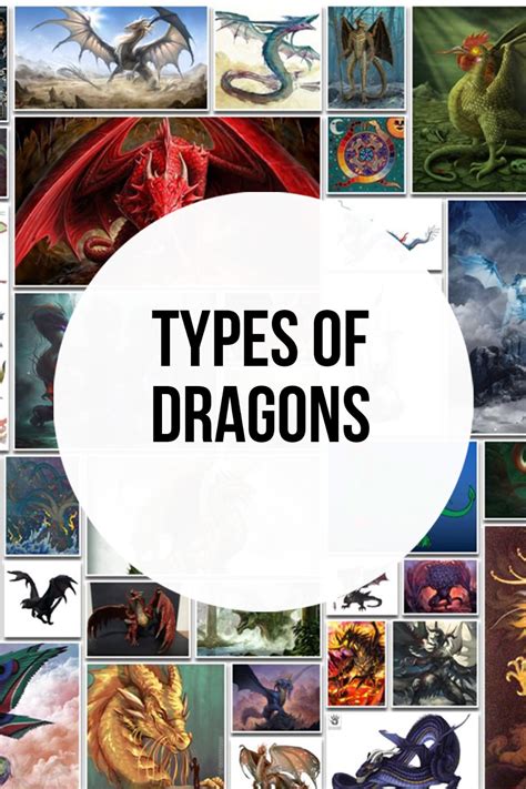 51 Different Types Of Dragons Their Origins And Symbolism In 2023