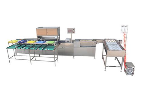 Egg Grading Machine | Egg Processing Machines Supplier