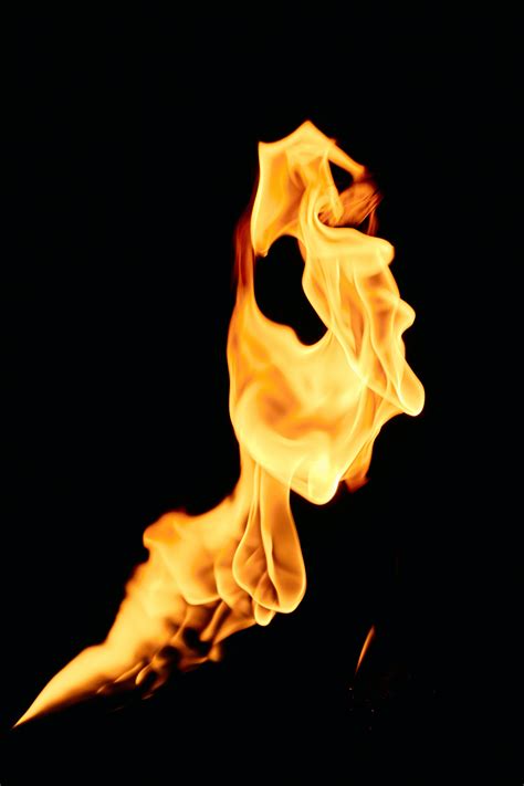 p fire logo stock  images  backgrounds