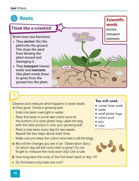 [sách] Hodder Cambridge Primary Science 3 Learner’s Book 1st Edition Sách Giấy Gáy Xoắn