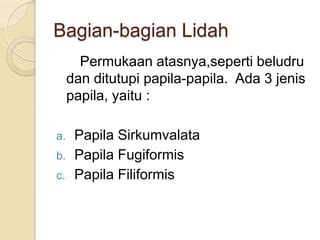 pengertian Indra pengecap ( Lidah ) | PPT