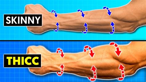 Skinny Guys Must Do This For Bigger Forearms Wrists Youtube