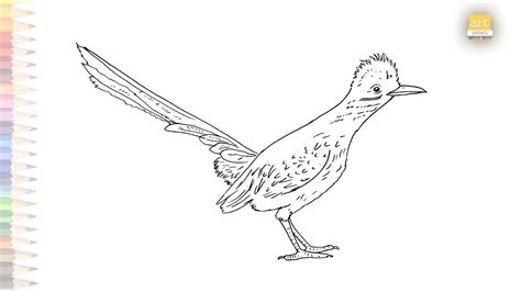 Roadrunner Bird Drawing Dibujo Del Correcaminos How To Draw