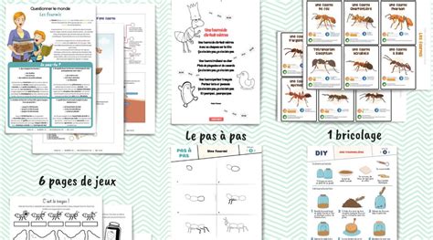Les P Tits Ouistitis Et Les Fourmis Un Jour Un Jeu
