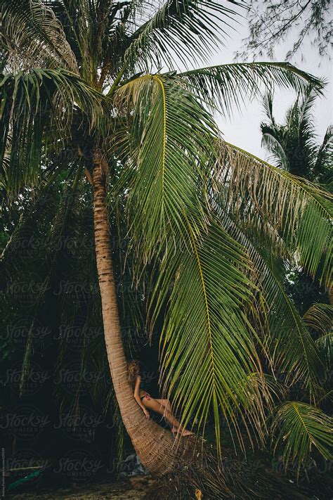 Nude Against Palm Tree Bikini Model Naked Getabikini Usa My Xxx Hot Girl