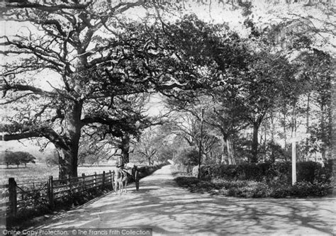 Photo Of Ockley Dorking Road 1906 Francis Frith