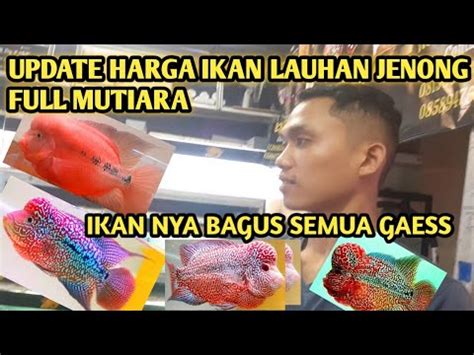 Update Harga Ikan Louhan Lokal Dan Impor Di Pasar Subuh Jatinegara