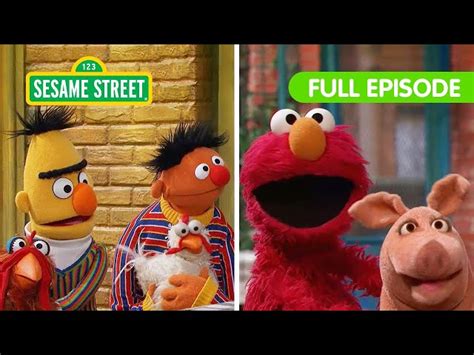 Elmo Finds the Missing Animals with Bert & Ernie | Sesame Street Full ...