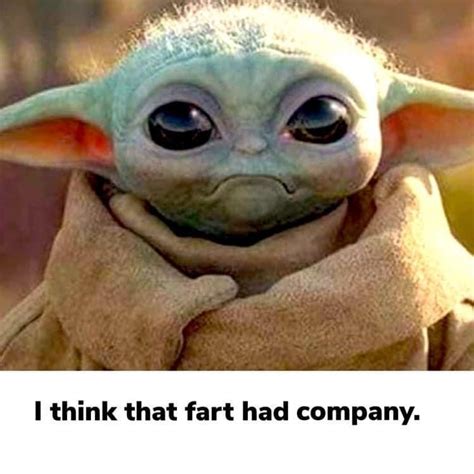 Pin By Patton On Now That S Funny Yoda Funny Grumpy Cat Humor Yoda