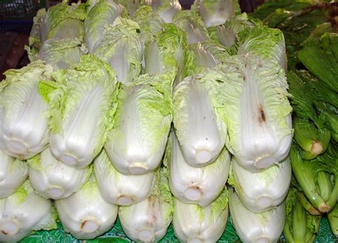 Benefits Of Napa Cabbage (Chinese Cabbage) | Mr Mind Blowing