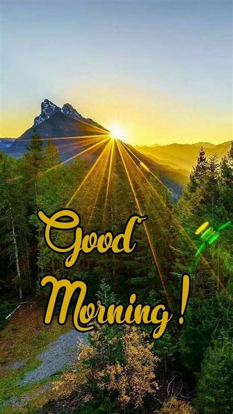 The Words Good Morning Are In Front Of Trees And Mountains With Sun