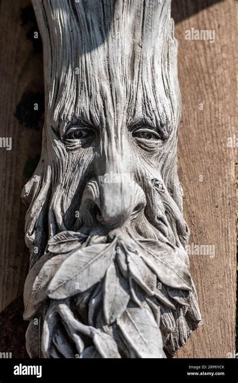 Green Man Face Carved In A Tree Folklore And Fantasy In Woodlands Fairytales And Folklore