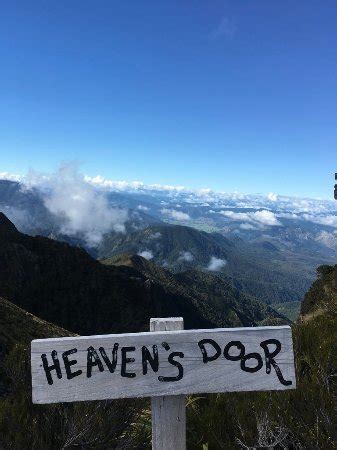 The Old Ghost Road Westport New Zealand Top Tips Before You Go