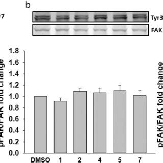 A 3 6 11 And 12 Activate FAK Tyr 379 Phosphorylation At 10 NM