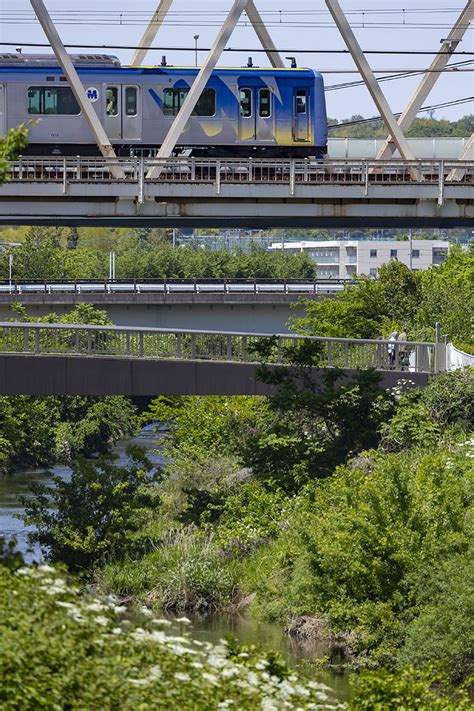 東急田園都市線 202352 鉄道の写真 （昔・今）