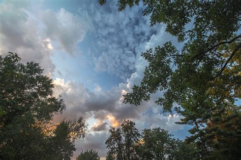 Free Images Landscape Tree Nature Forest Outdoor Horizon Light