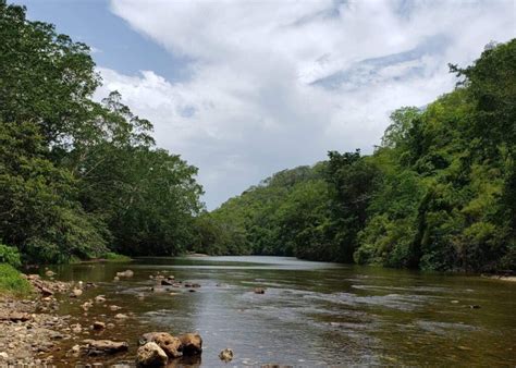 Explore The Belize River Belize Adventure