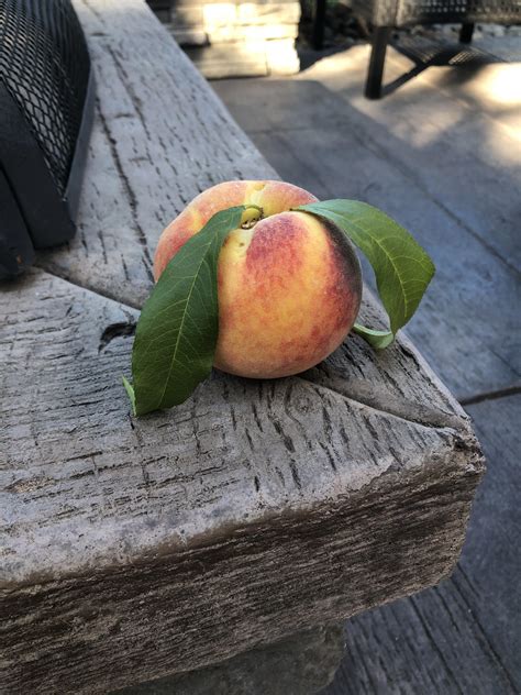 I Regret This Peach Jar Leak—Here's Why It Matters - p36ohd2