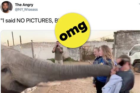 12 Hilarious Epic Fails From This Week