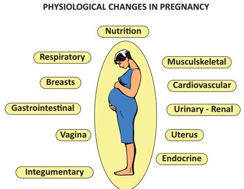 Diagnosis of Pregnancy