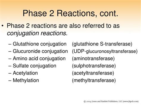 Ppt Chapter Biotransformation Powerpoint Presentation Id