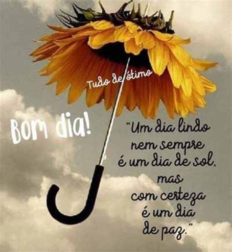 Frases De Bom Dia Para Motivar Inspirar E Motivar O Dia Das Pessoas