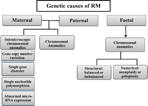 Figure From Overview Of Genetic Causes Of Recurrent Miscarriage And