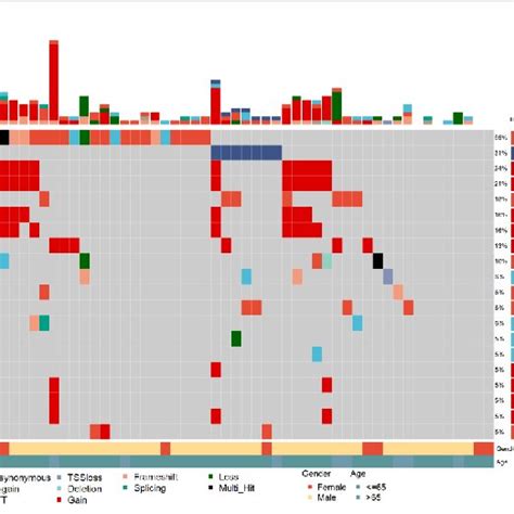 Summary Of Frequently Top 20 Genomic Characterized Alterations Among Download Scientific