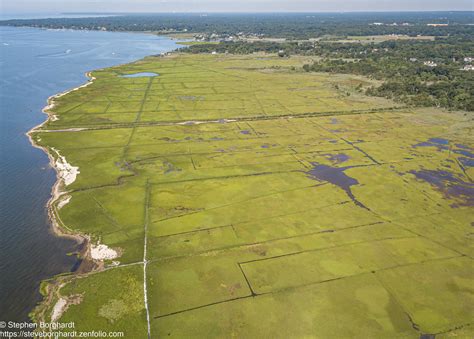 Dec Dedicates 17 Million To Salt Marsh Restoration Project Trihamlet News