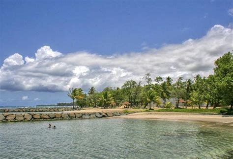 Plage De Roseau Pelican Capesterre Belle Eau Guadeloupe