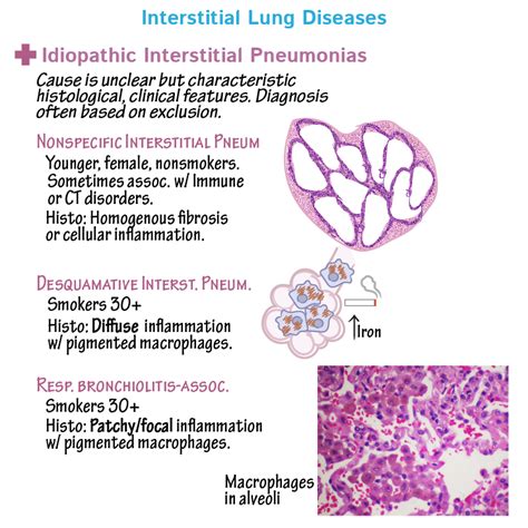 Clinical Pathology Glossary Interstitial Lung Diseases Ditki Medical