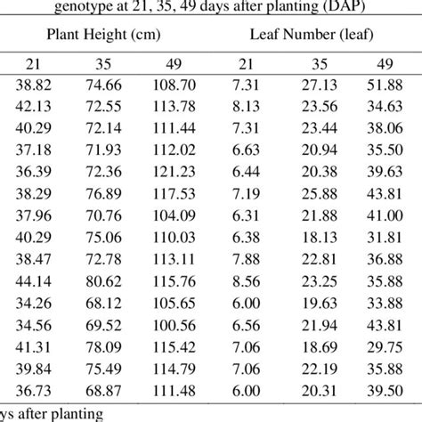 Plant Height Cm Leaf Number Leaf And Tiller Number Tiller Of