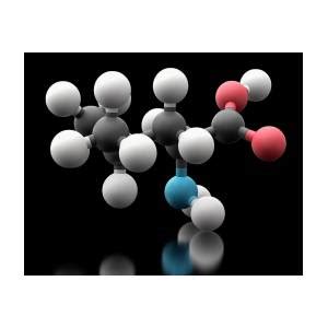 Leucine Amino Acid Molecule Photograph By Carlos Clarivan Science Photo