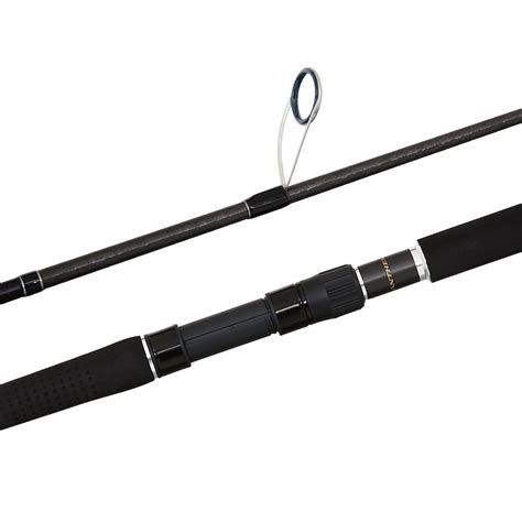 Shimano Anthem Sw Heavy Spinning Fishing Rod