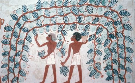 About Us Association For Students Of Egyptology
