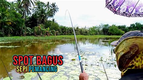 Spot Potensial Yang Masih Sepi Pemancing Mancing Nila Liaran V 142