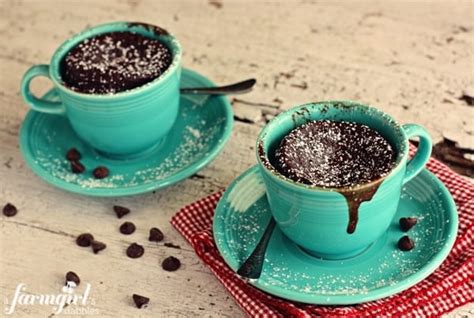 Gooey Chocolate Mug Cake Recipe A Farmgirls Dabbles