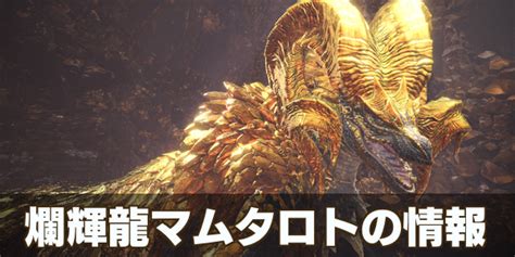 10000ダウンロード済み√ Mhw マムタロト 攻略 装備