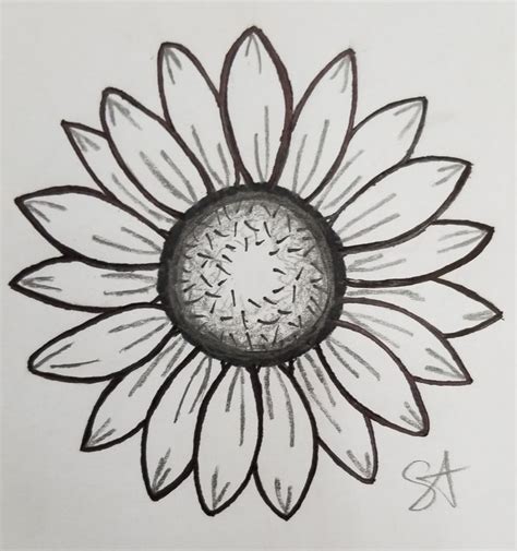 Daisy Drawing Sunflower Drawing Roses Drawing Sunflower Art