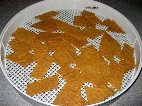 Paprikas Küchenblog: Ananaschips