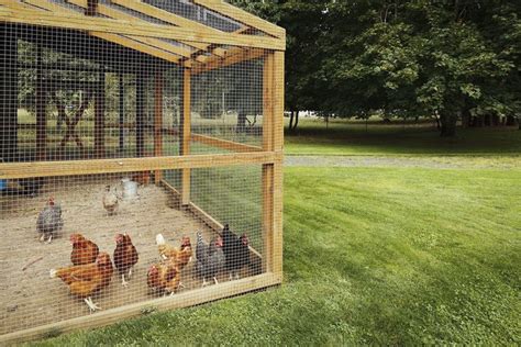 Special Chicken Run Ideas For Your Garden Decoration In